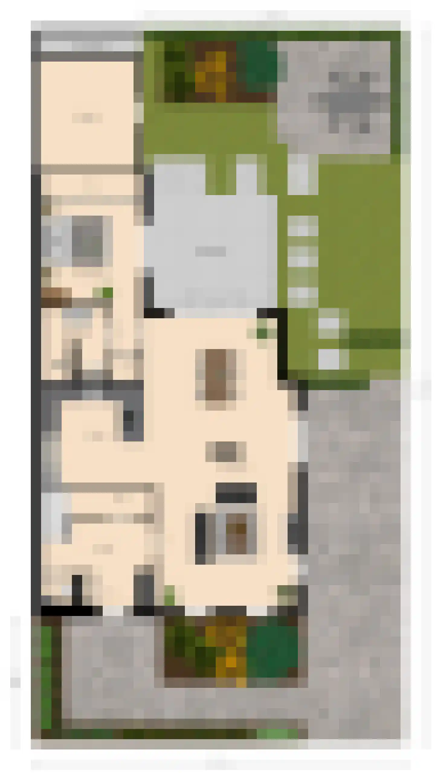 Past. Bolsiusstraat 9 Valkenswaard thumbnail 46