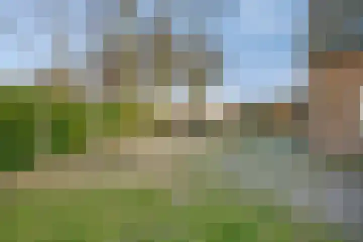 Past. Clercxstraat 3 Veghel thumbnail 55