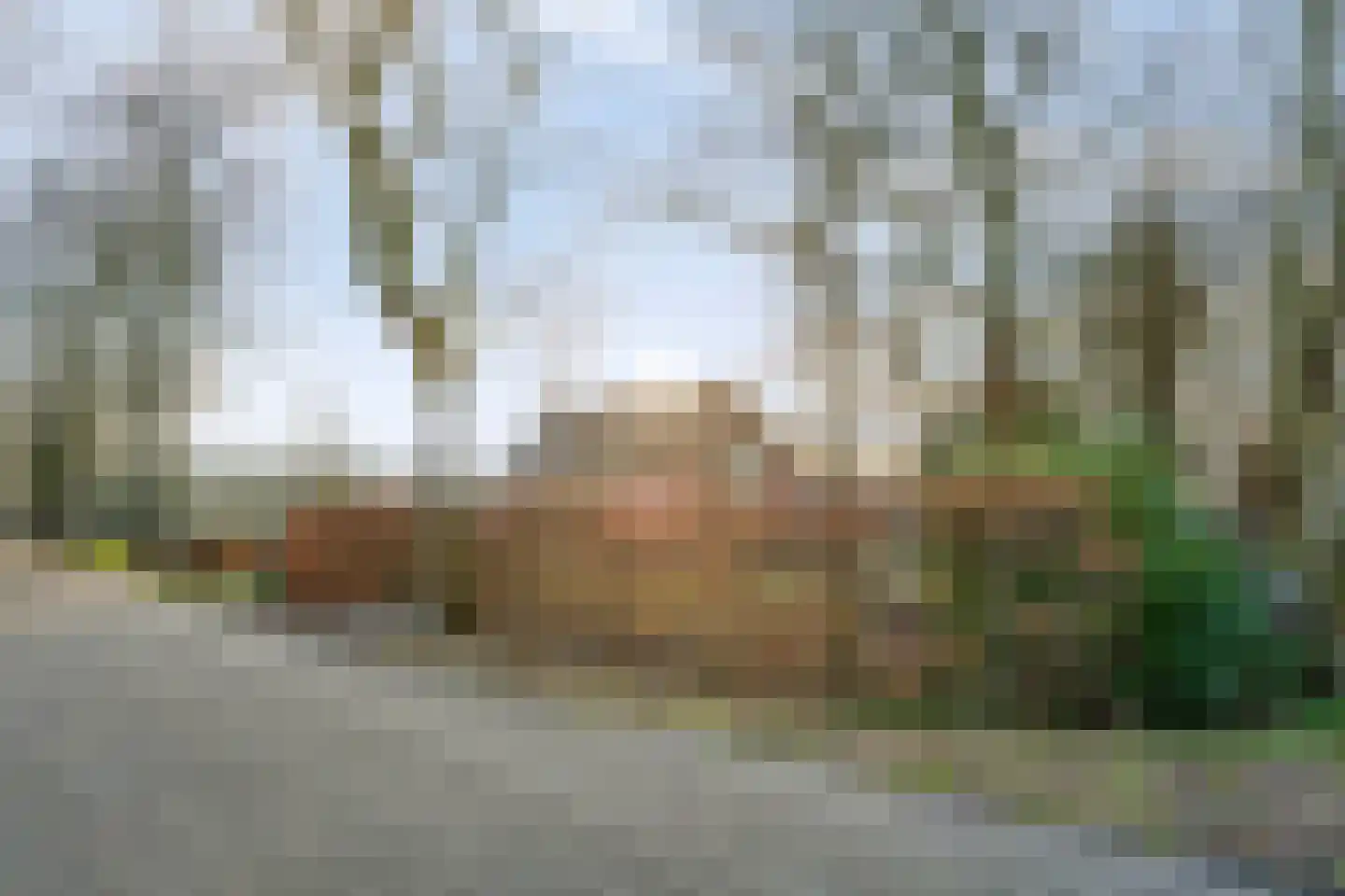 Past. Clercxstraat 3 Veghel thumbnail 58