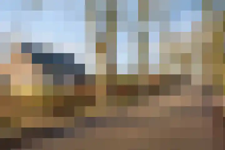 Past. Clercxstraat 3 Veghel thumbnail 9