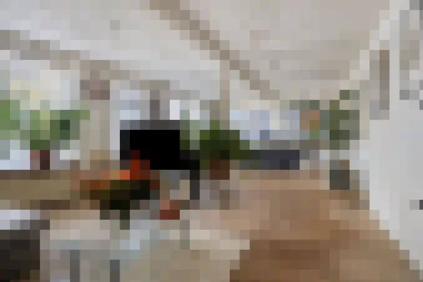 Past. Clercxstraat 58 Veghel thumbnail 4