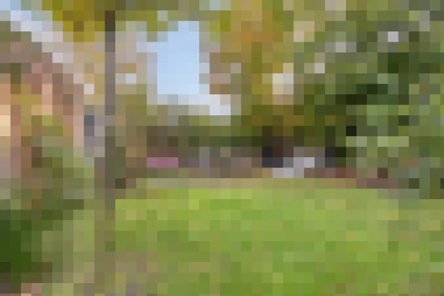 Past. Clercxstraat 58 Veghel thumbnail 43