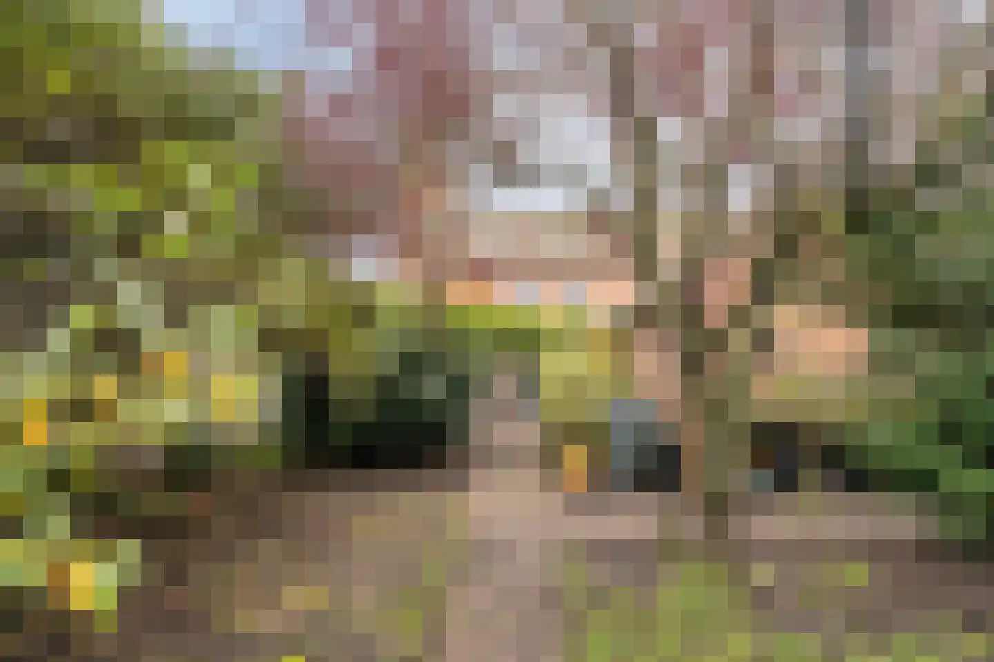 Past. Clercxstraat 58 Veghel thumbnail 44