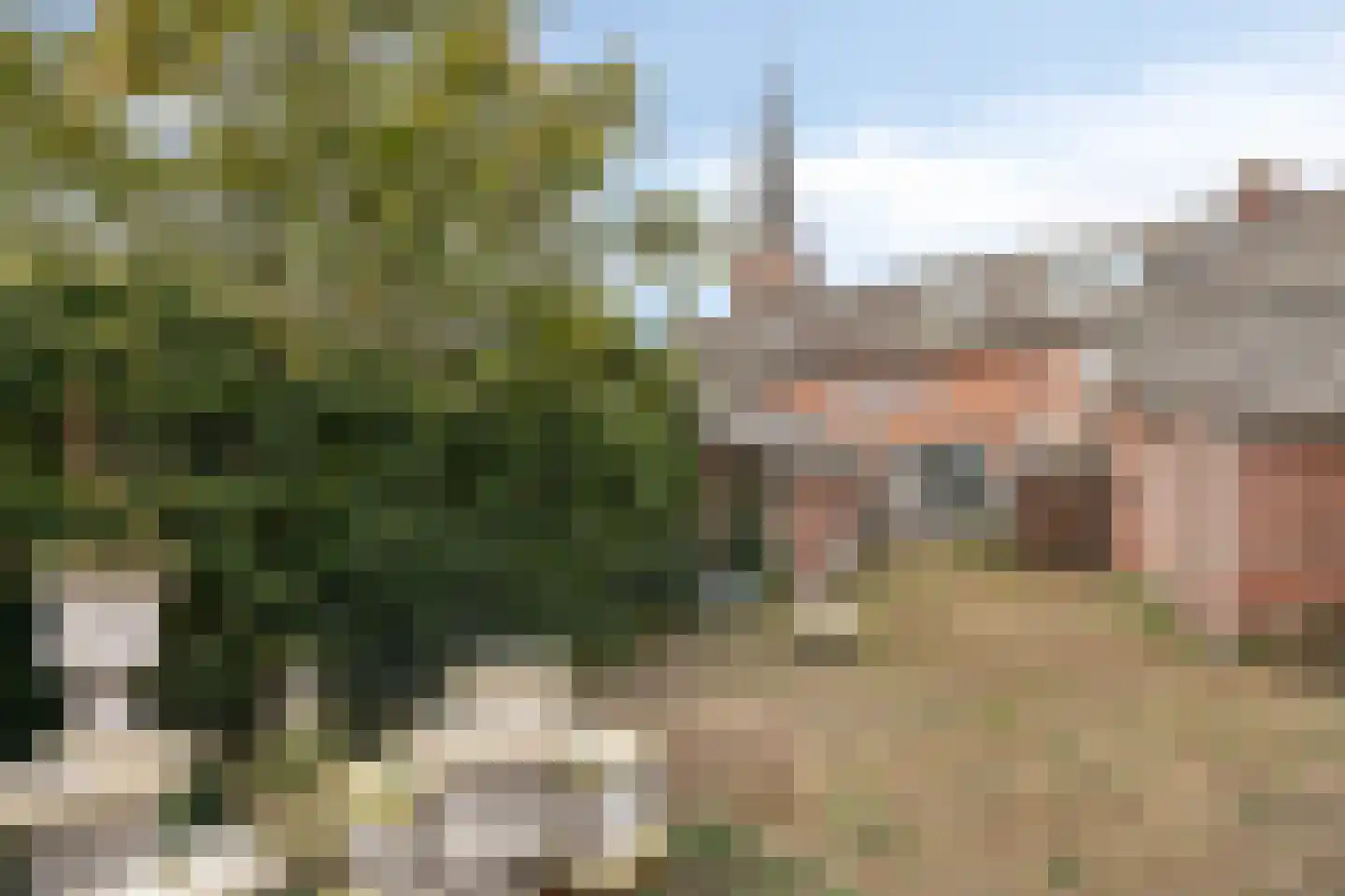 Past. Clercxstraat 58 Veghel thumbnail 46