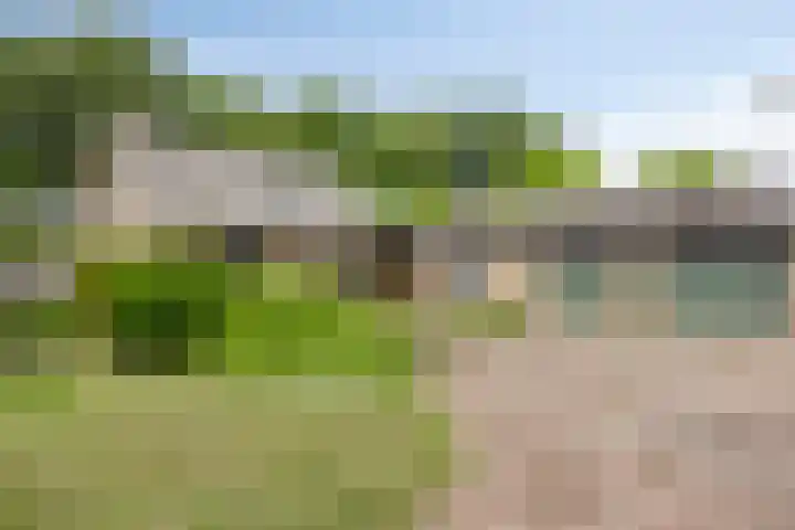 Past. Clercxstraat 6 Veghel thumbnail 31