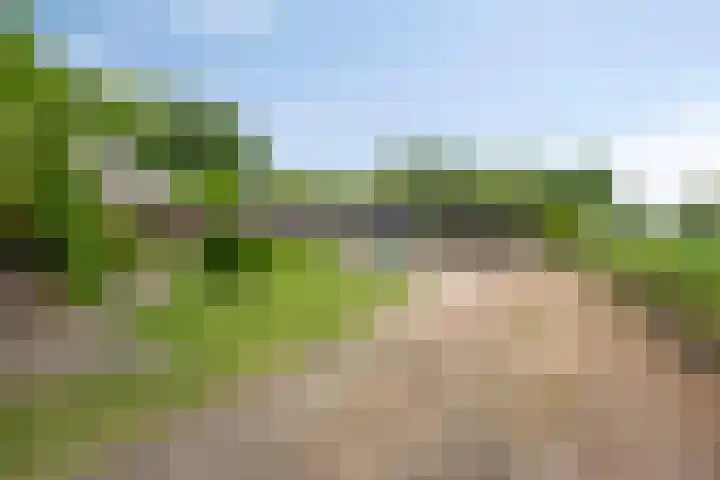 Past. Clercxstraat 6 Veghel thumbnail 32