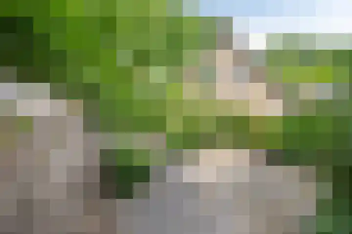 Past. Clercxstraat 6 Veghel thumbnail 35