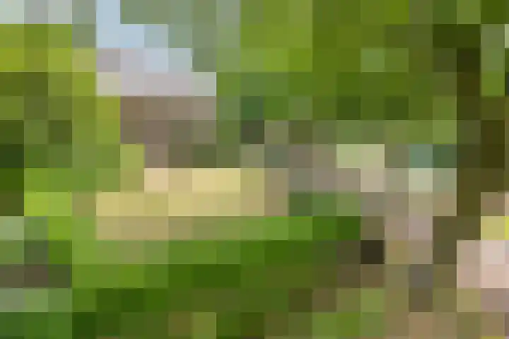 Past. Clercxstraat 6 Veghel thumbnail 36