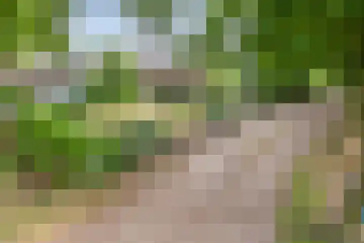 Past. Clercxstraat 6 Veghel thumbnail 37