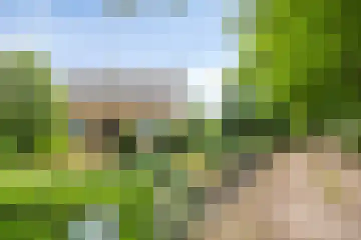 Past. Clercxstraat 6 Veghel thumbnail 39
