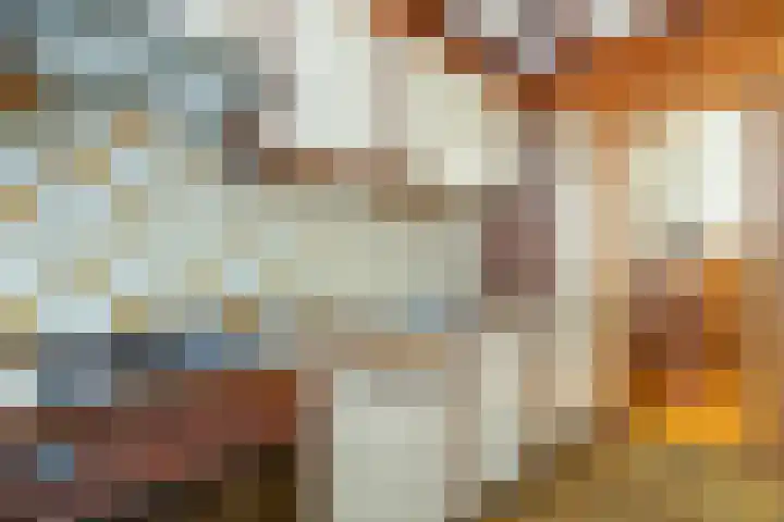 Past Daemenstraat 27 Elsloo thumbnail 20