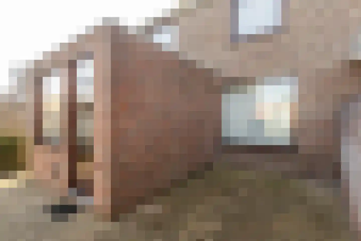 Past Daemenstraat 27 Elsloo thumbnail 30