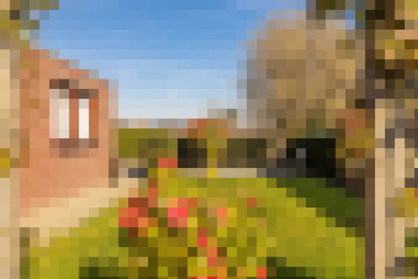 Past Daemenstraat 27 Elsloo thumbnail 33