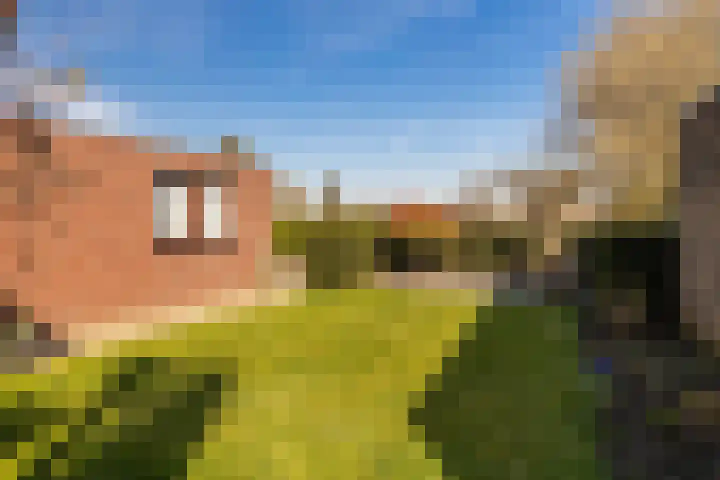 Past Daemenstraat 27 Elsloo thumbnail 35