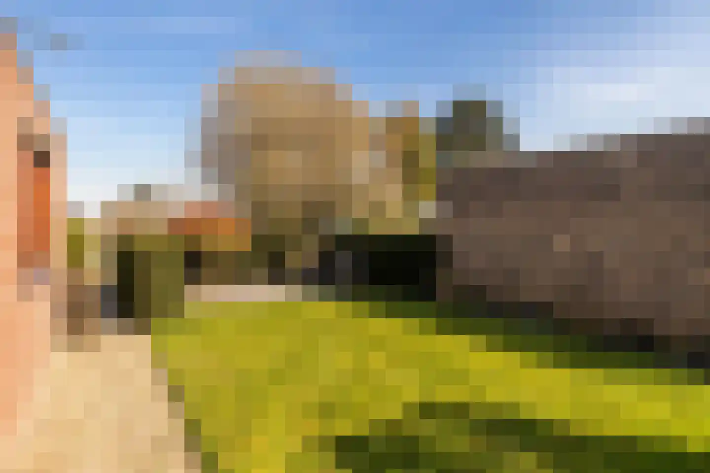 Past Daemenstraat 27 Elsloo thumbnail 36