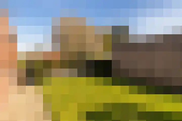 Past Daemenstraat 27 Elsloo thumbnail 36