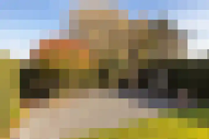 Past Daemenstraat 27 Elsloo thumbnail 37