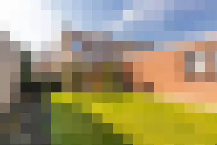 Past Daemenstraat 27 Elsloo thumbnail 38
