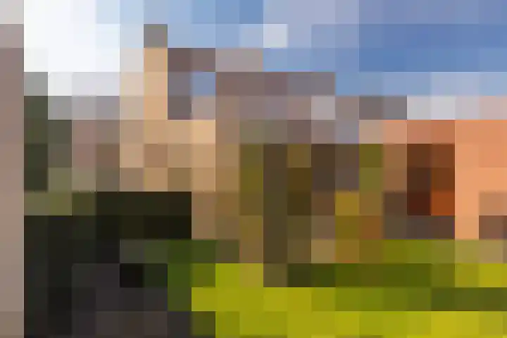 Past Daemenstraat 27 Elsloo thumbnail 39