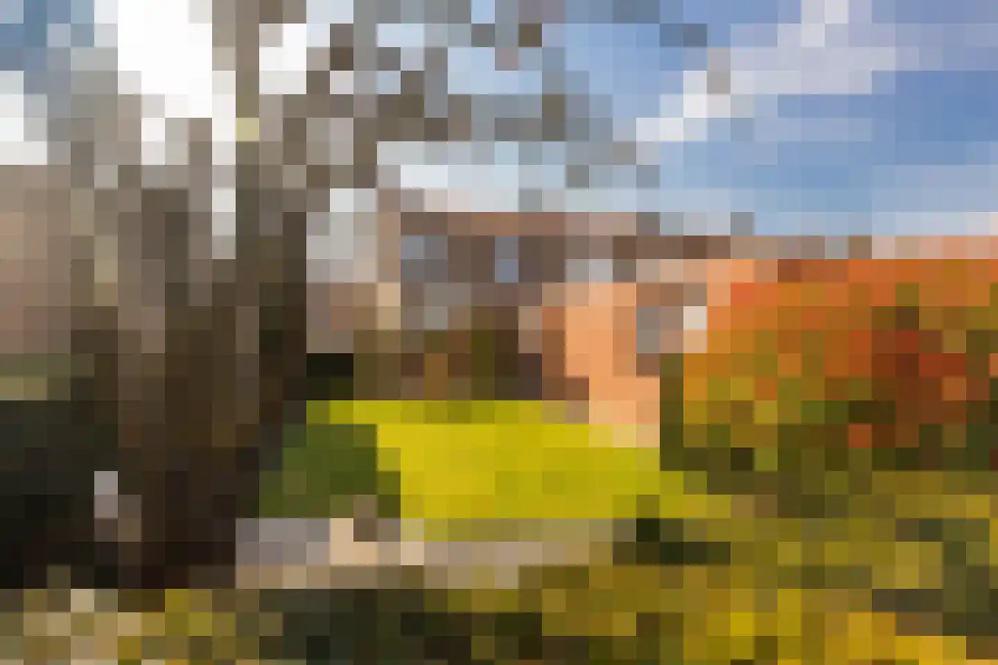 Past Daemenstraat 27 Elsloo thumbnail 41