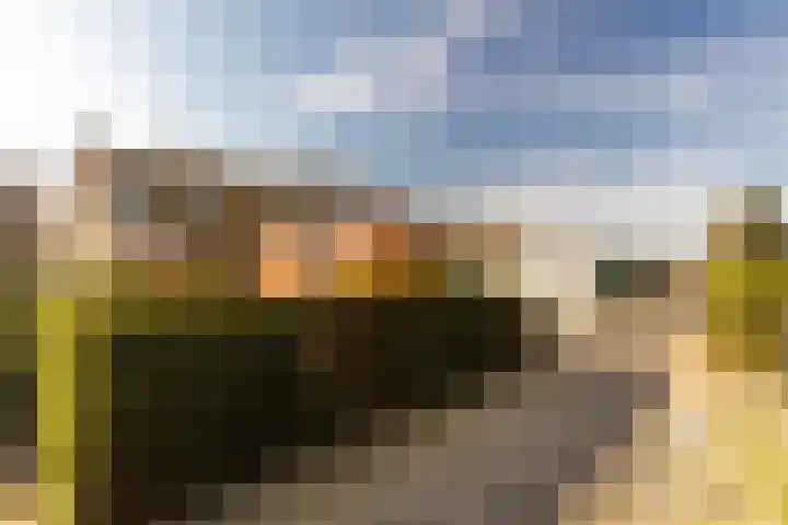 Past Daemenstraat 27 Elsloo thumbnail 42