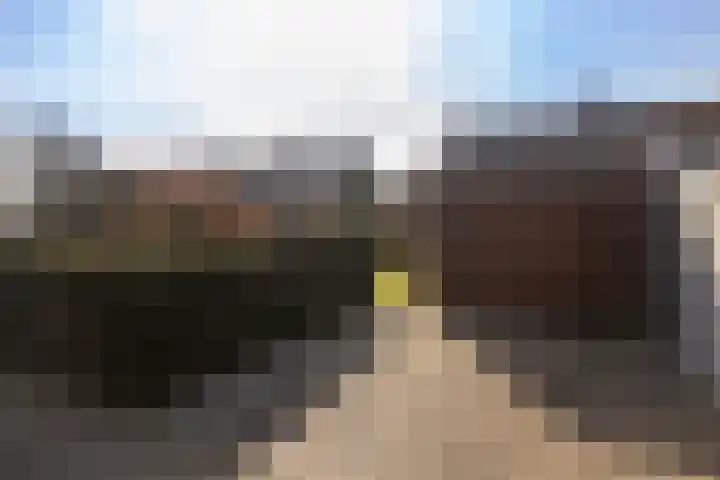 Past Daemenstraat 27 Elsloo thumbnail 43