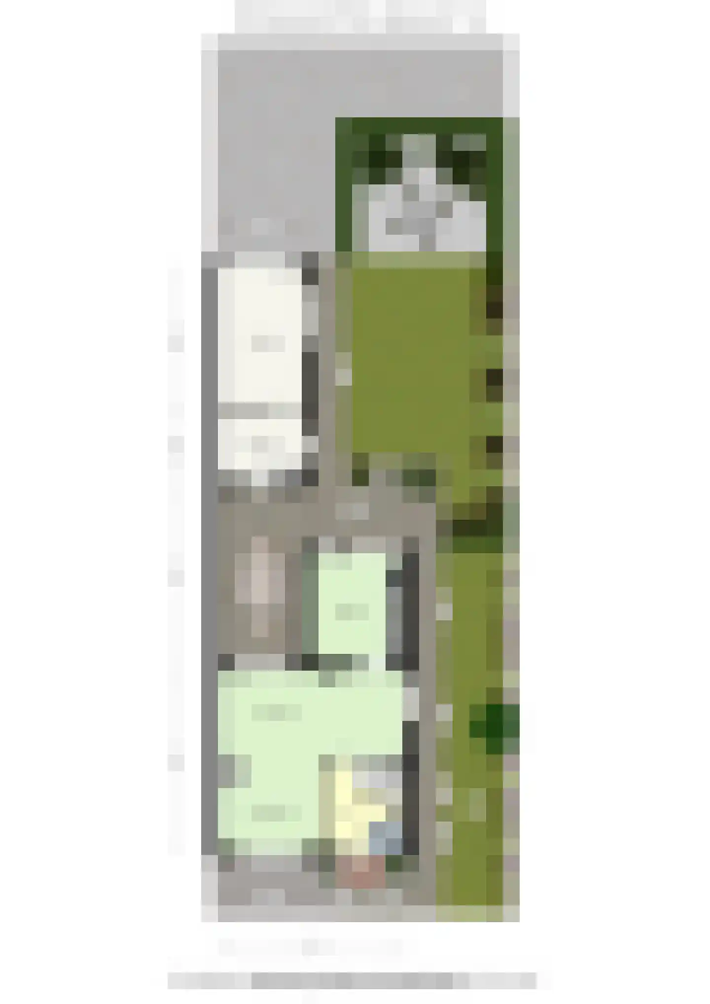 Past Daemenstraat 27 Elsloo thumbnail 47