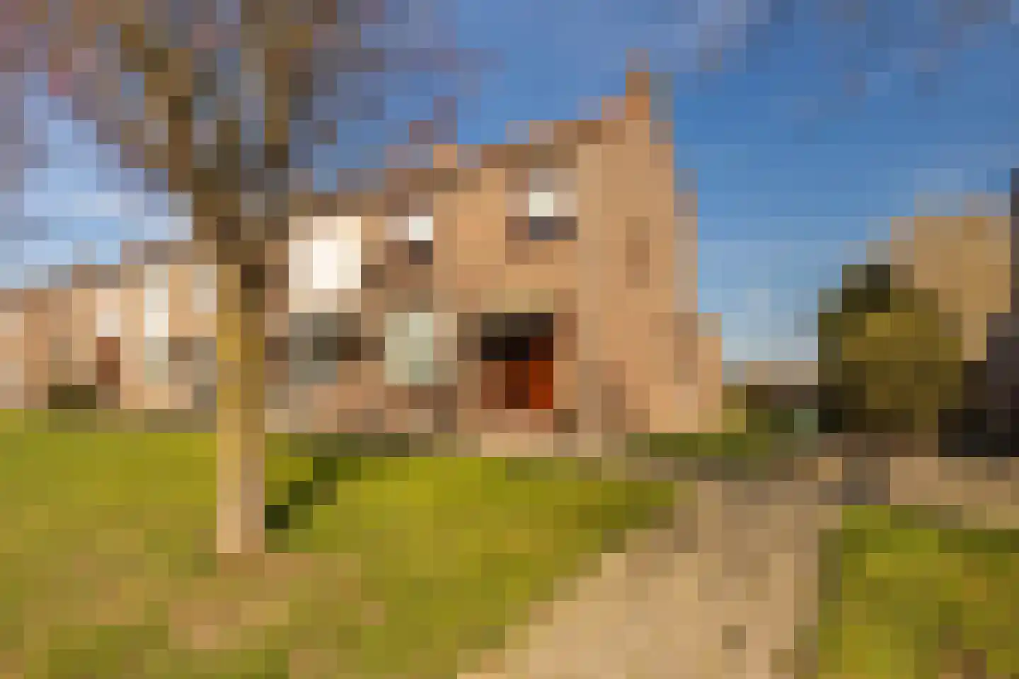Past Daemenstraat 27 Elsloo thumbnail 5