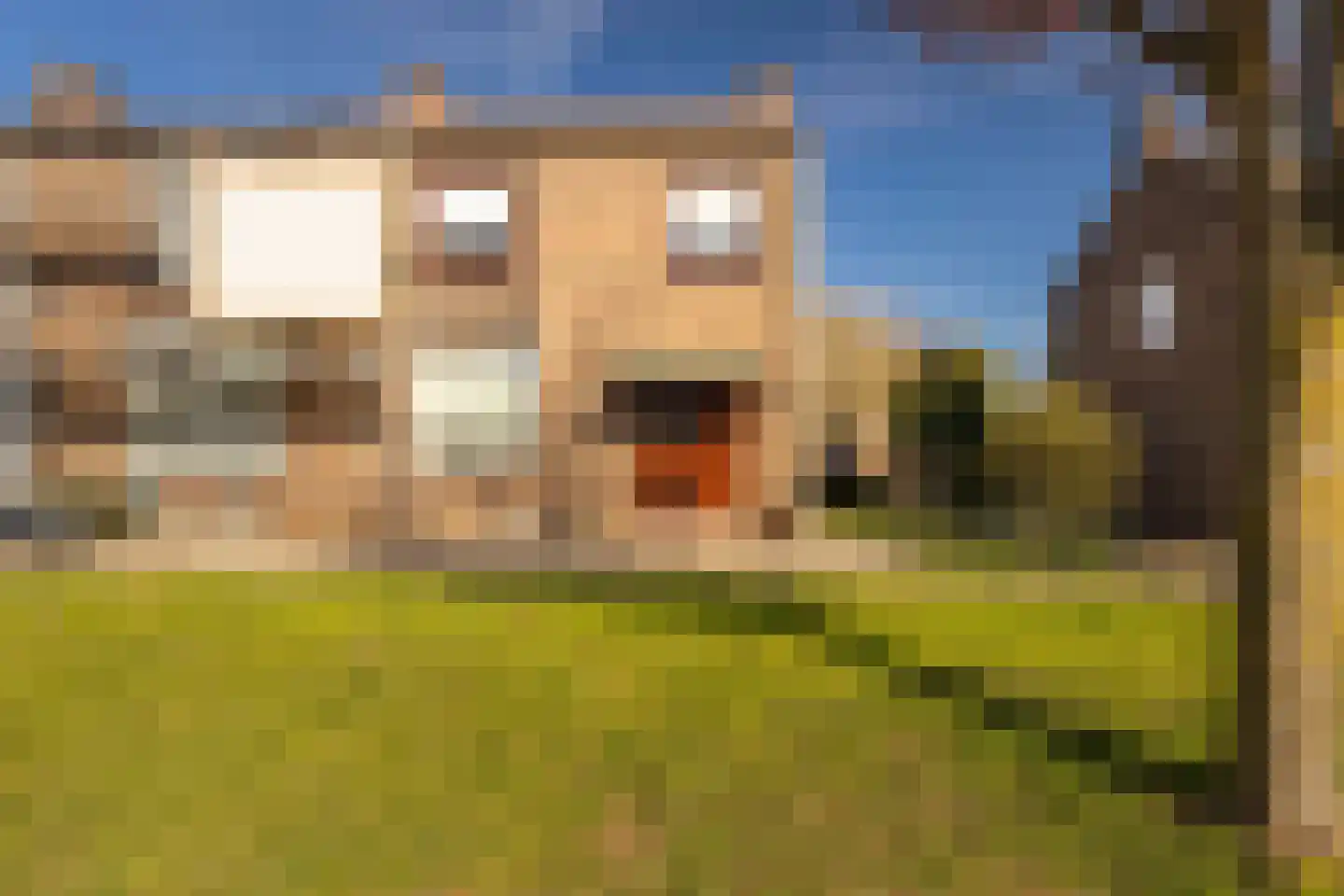 Past Daemenstraat 27 Elsloo thumbnail 6