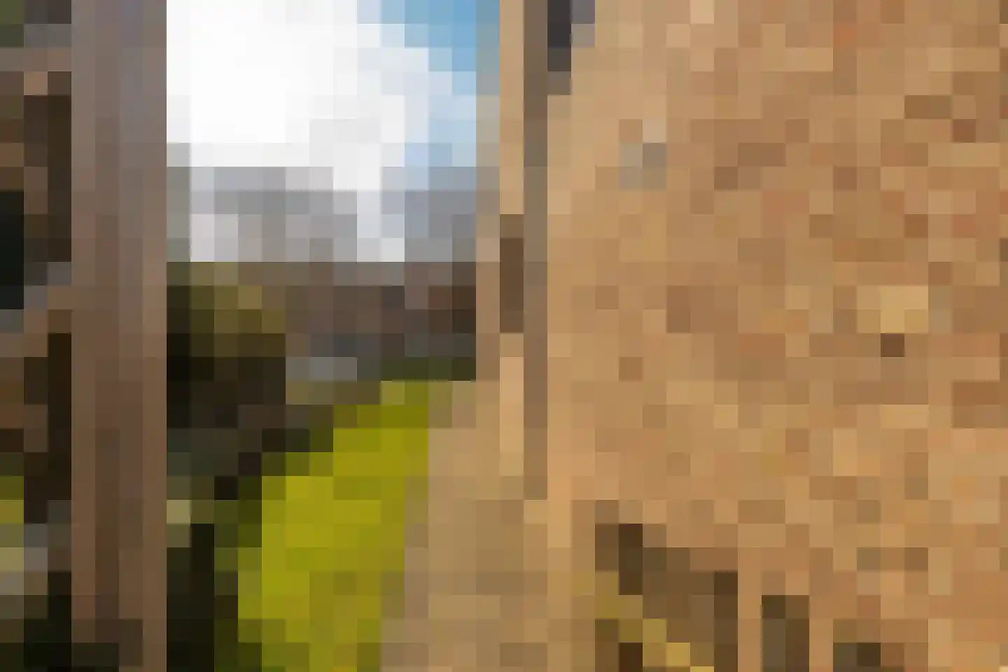 Past Daemenstraat 27 Elsloo thumbnail 9