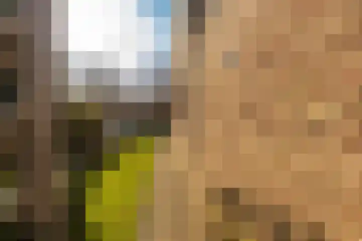 Past Daemenstraat 27 Elsloo thumbnail 9