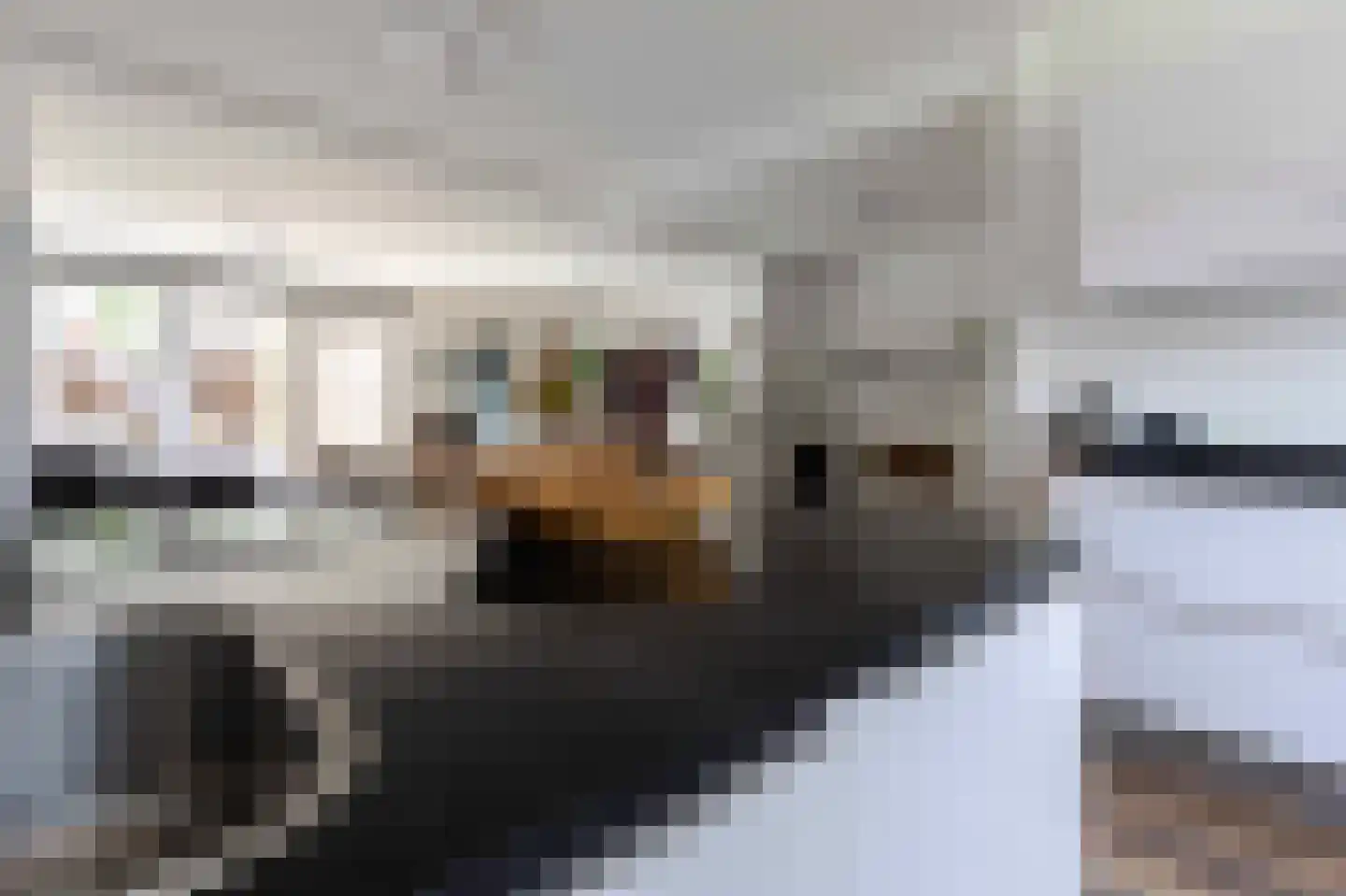 Past Daemenstraat 6 Elsloo thumbnail 16