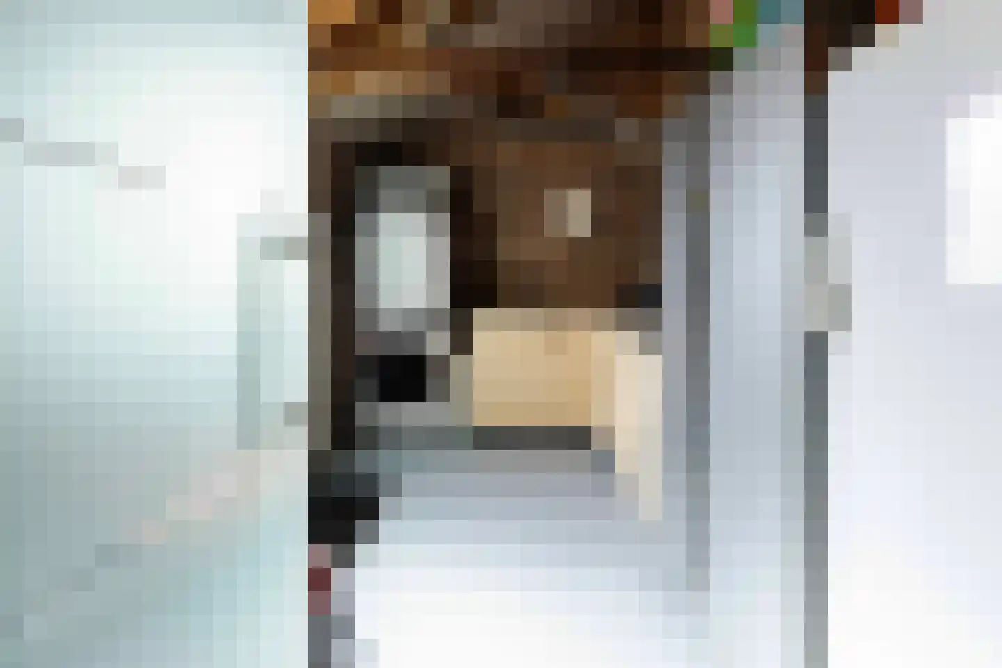 Past Daemenstraat 6 Elsloo thumbnail 18