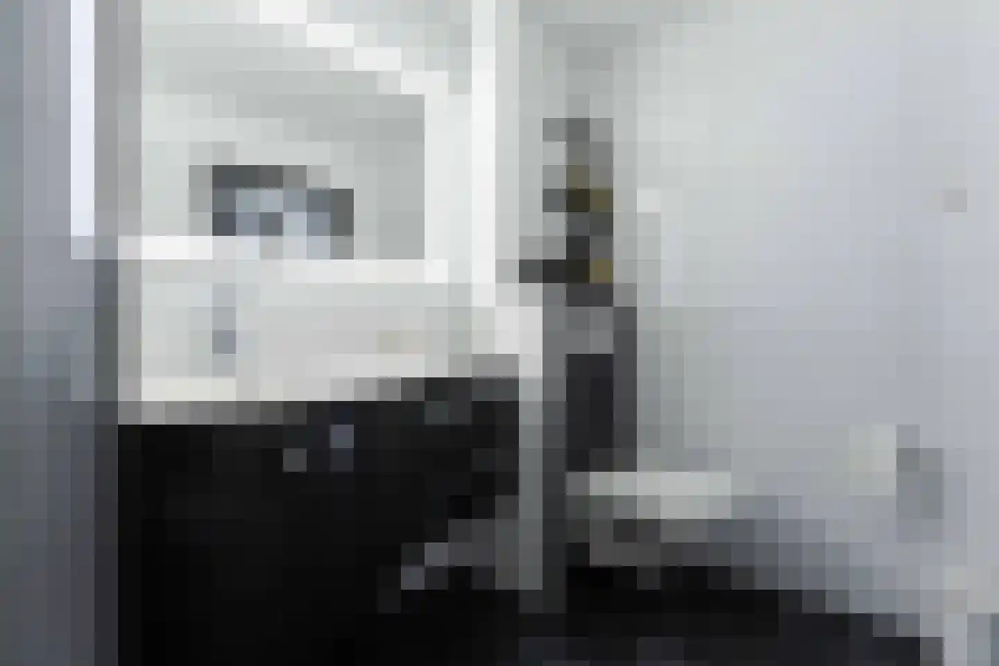 Past Daemenstraat 6 Elsloo thumbnail 31