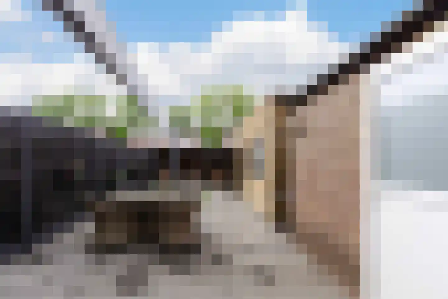 Past Daemenstraat 6 Elsloo thumbnail 32