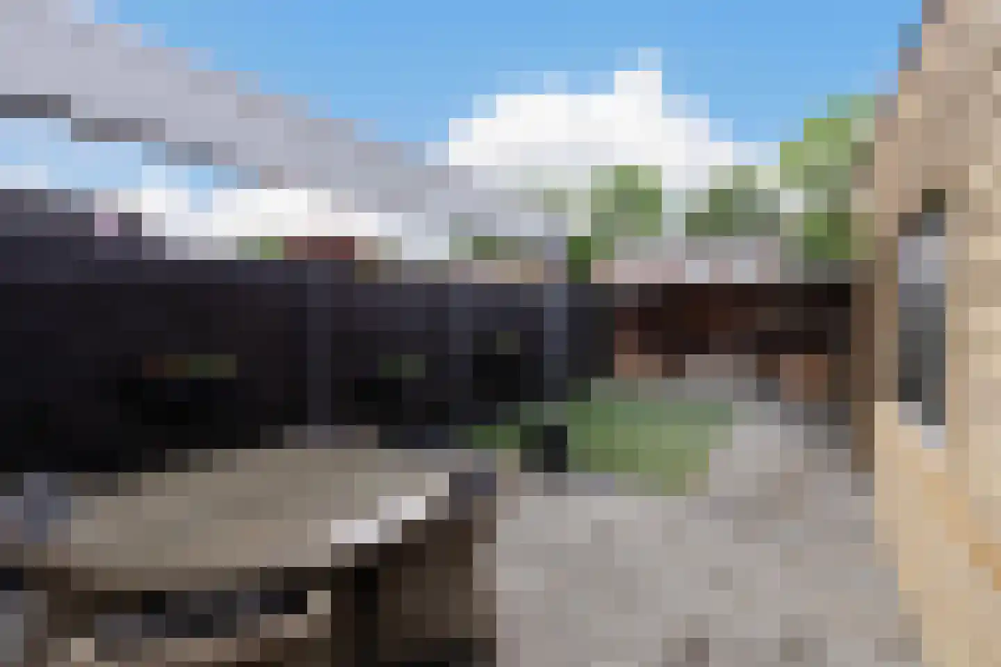 Past Daemenstraat 6 Elsloo thumbnail 34