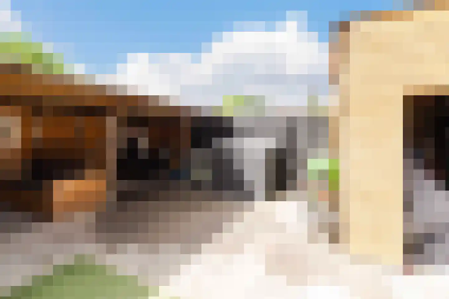 Past Daemenstraat 6 Elsloo thumbnail 35