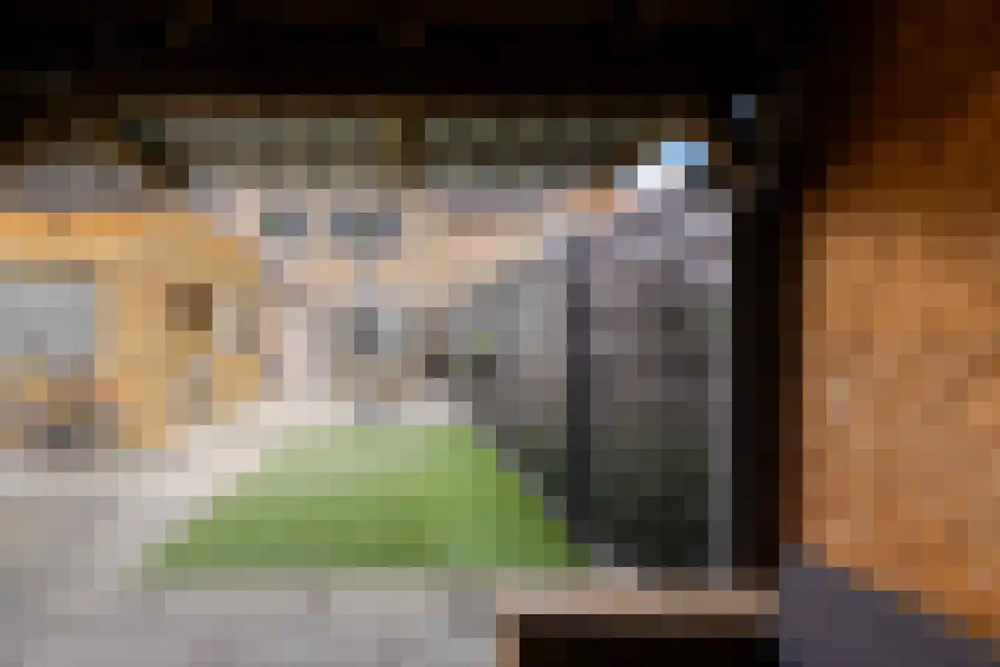 Past Daemenstraat 6 Elsloo thumbnail 37