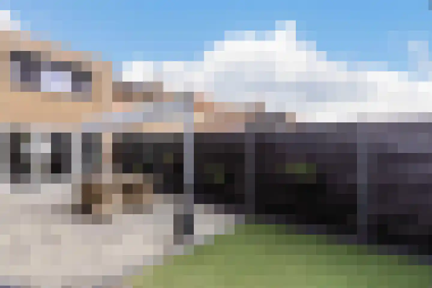 Past Daemenstraat 6 Elsloo thumbnail 39
