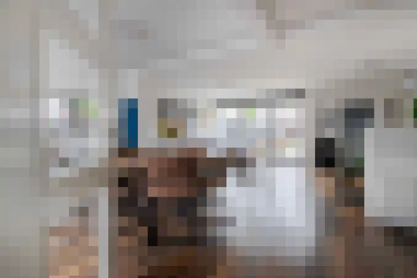 Past Daemenstraat 6 Elsloo thumbnail 4