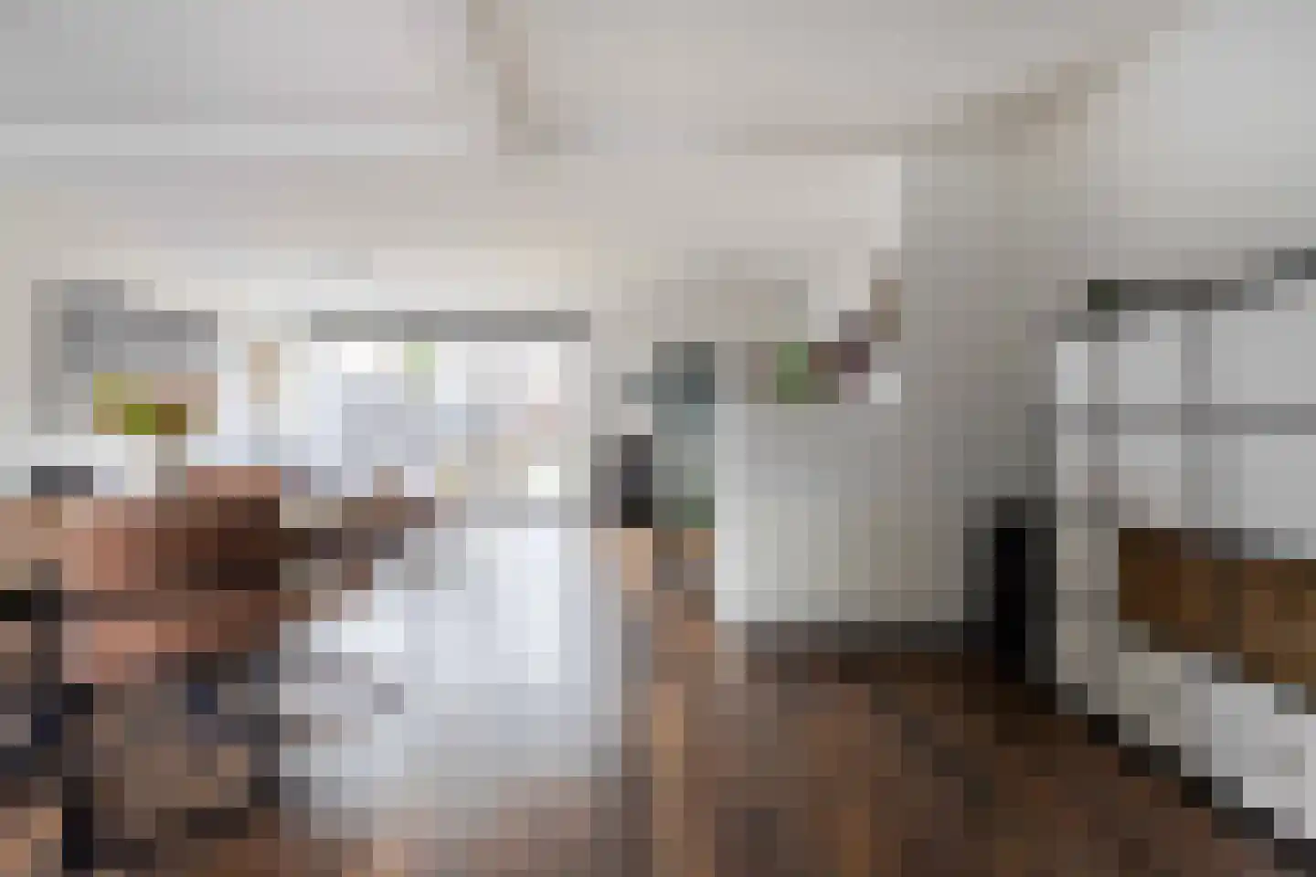 Past Daemenstraat 6 Elsloo thumbnail 5