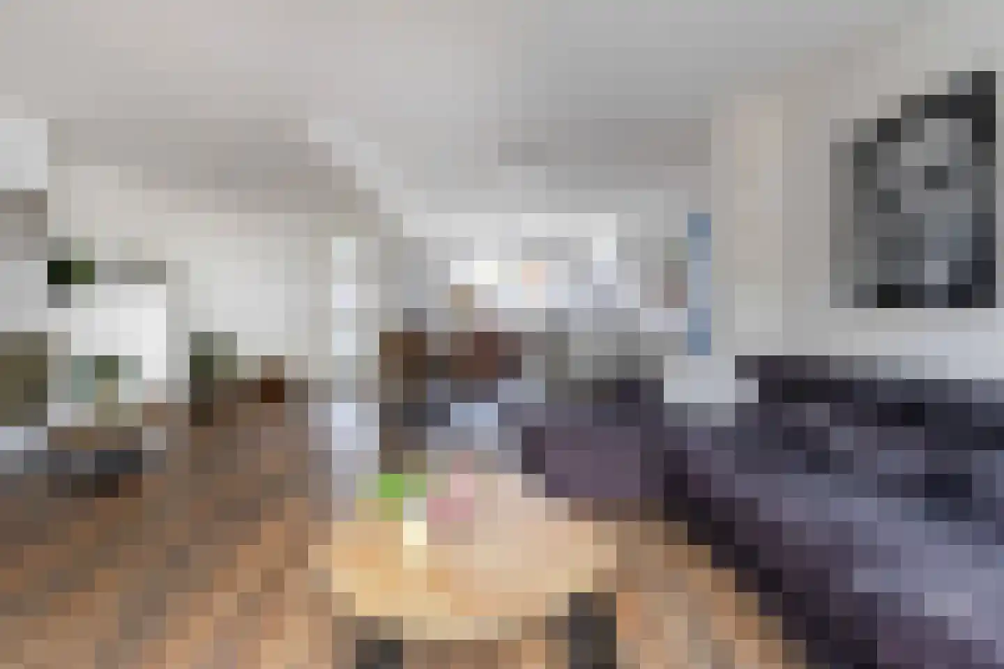 Past Daemenstraat 6 Elsloo thumbnail 9
