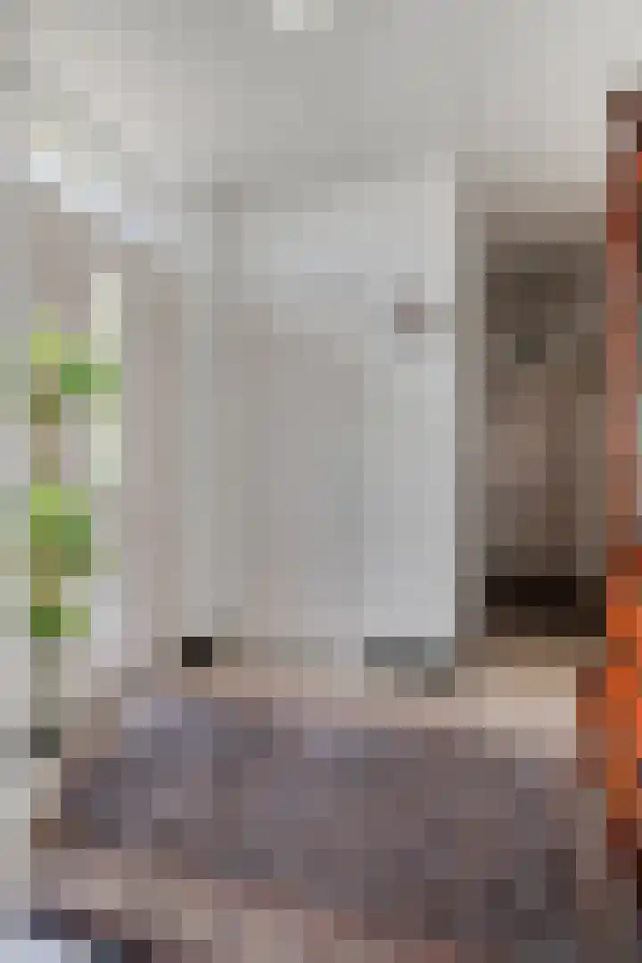 Past. Debijestraat 52 Hegelsom thumbnail 10