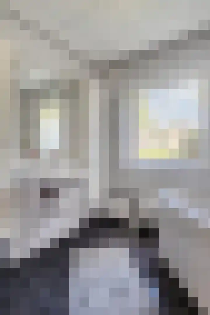 Past. Debijestraat 52 Hegelsom thumbnail 26