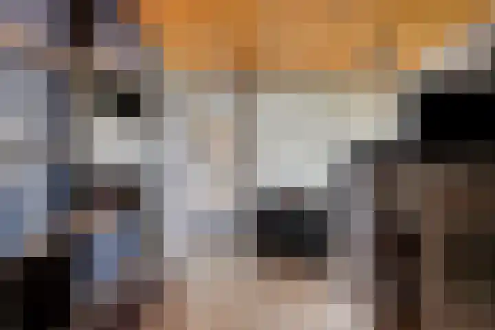 Past. Debijestraat 52 Hegelsom thumbnail 31