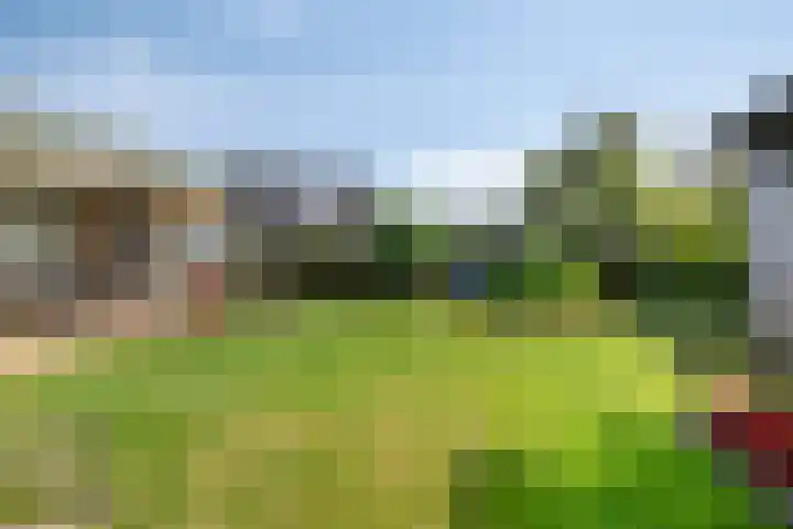 Past. Debijestraat 52 Hegelsom thumbnail 36