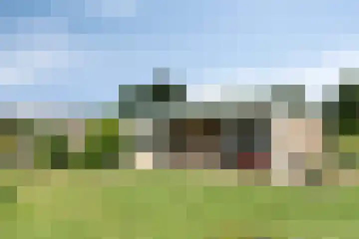 Past. Debijestraat 52 Hegelsom thumbnail 38