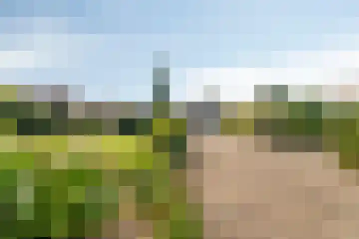 Past. Debijestraat 52 Hegelsom thumbnail 5