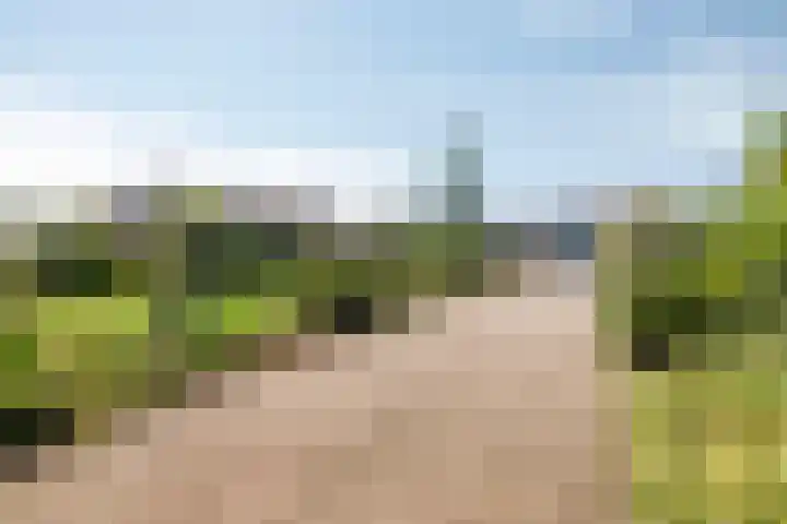 Past. Debijestraat 52 Hegelsom thumbnail 7