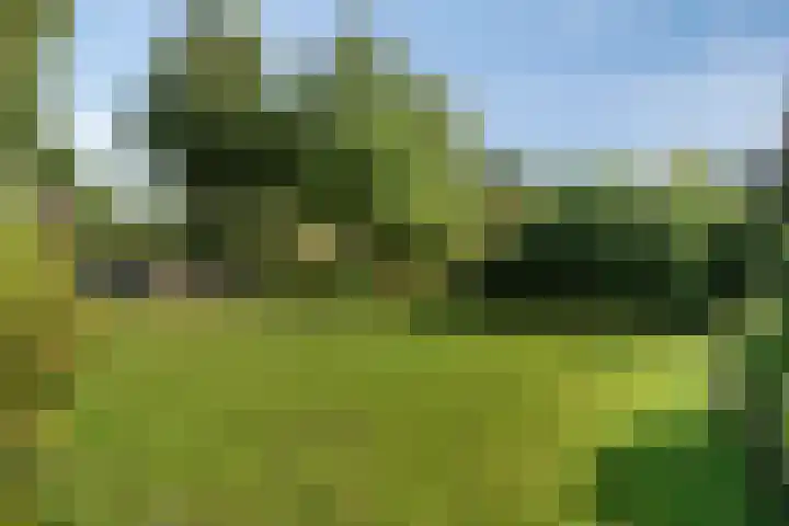 Past. Debijestraat 52 Hegelsom thumbnail 8